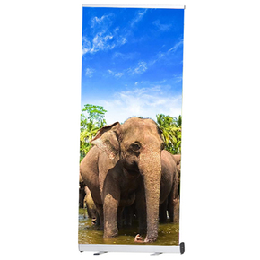 Reklamní stojan Roll Up Milano 100x200cm s potiskem | REGAHK.CZ